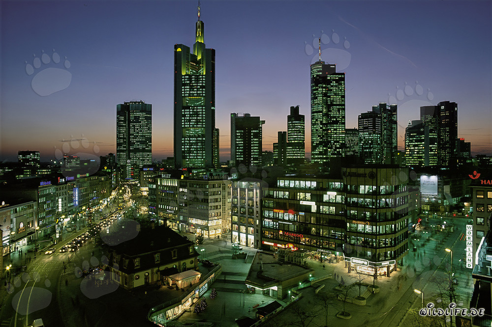 Skyline de Frankfurt de noche con impresionantes rascacielos