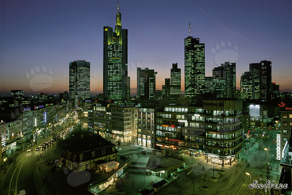 Skyline de Francfort de nuit avec des gratte-ciel impressionnants