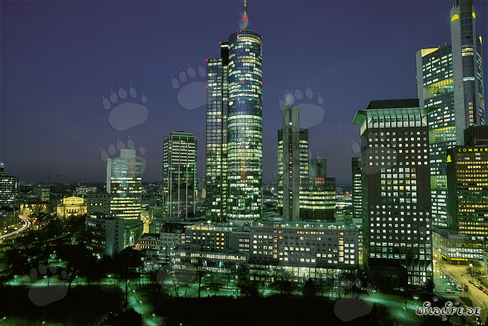 Impressionnante skyline de Francfort de nuit