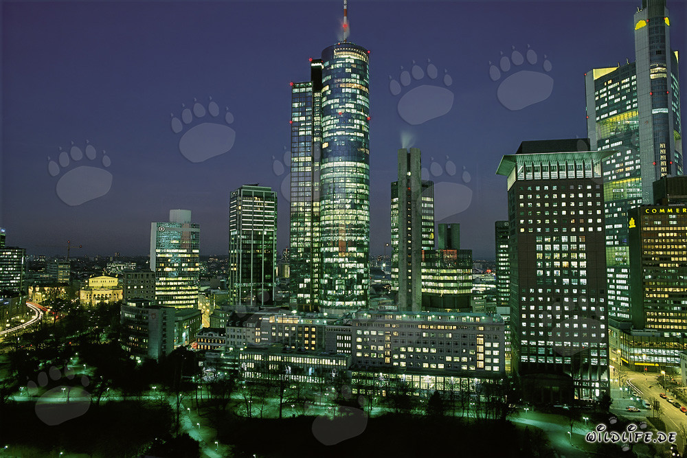 Impressive skyline of Frankfurt at night