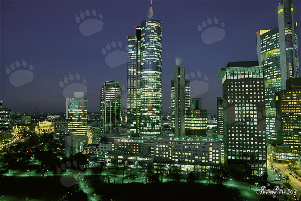 Impresionante skyline de Frankfurt de noche