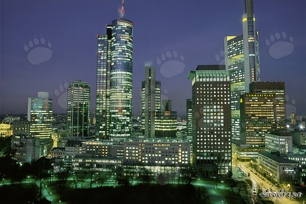 Fascinante skyline de Francfort de nuit