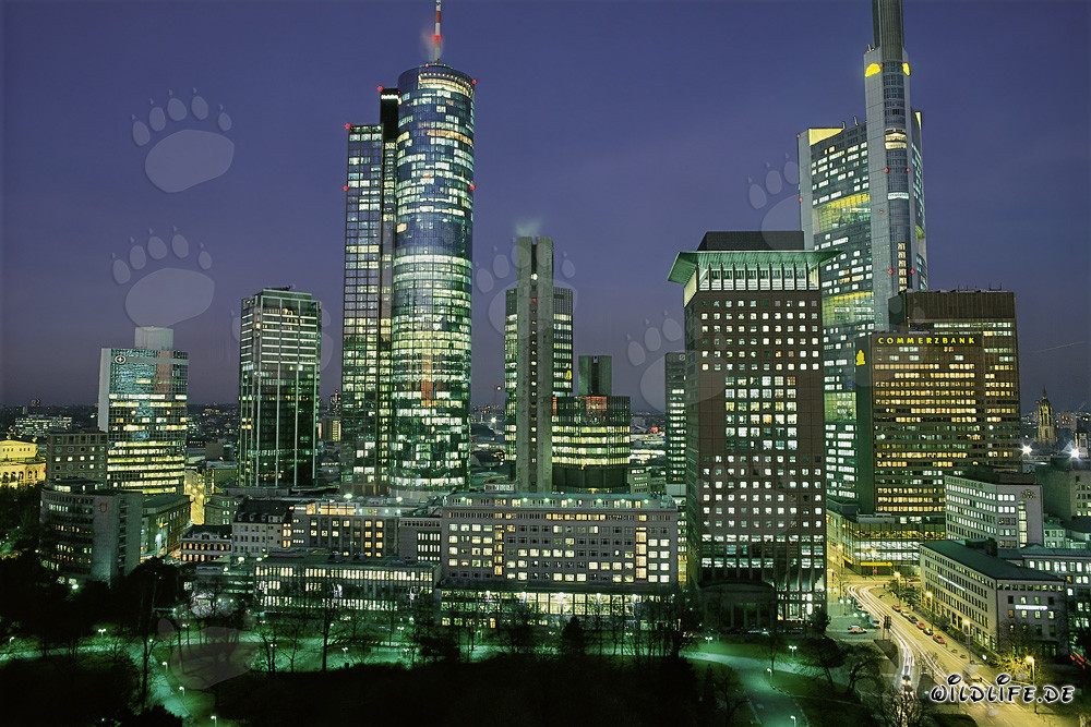 Faszinierende Skyline von Frankfurt bei Nacht