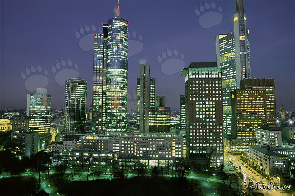 Fascinante skyline de Fráncfort de noche