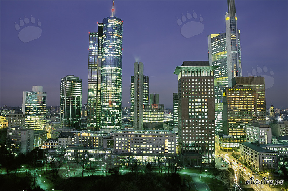 Impressionnante skyline de Francfort de nuit