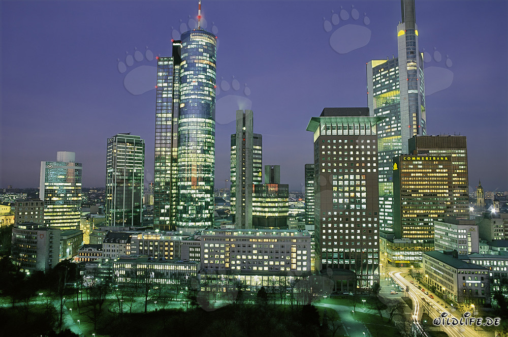 Impressionante skyline di Francoforte di notte