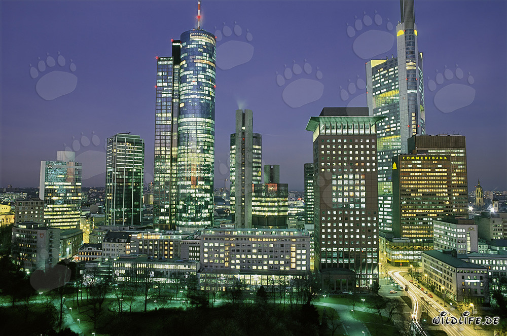 Impressive Frankfurt Skyline at Night