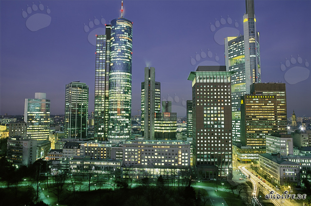 Impresionante skyline de Frankfurt de noche