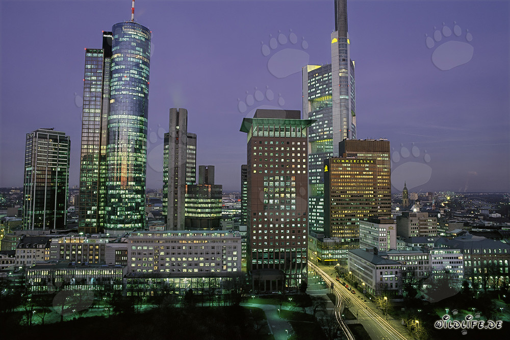 Fascinante skyline de Francfort de nuit