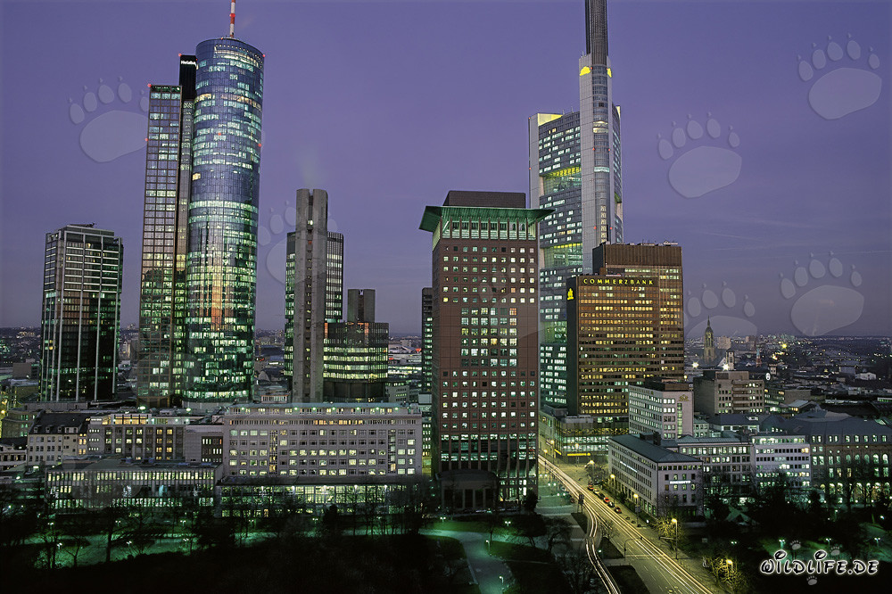 Fascinating Frankfurt Skyline at Night