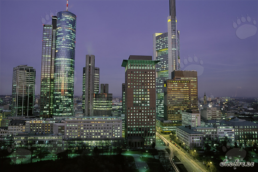 Impresionante skyline de Frankfurt de noche
