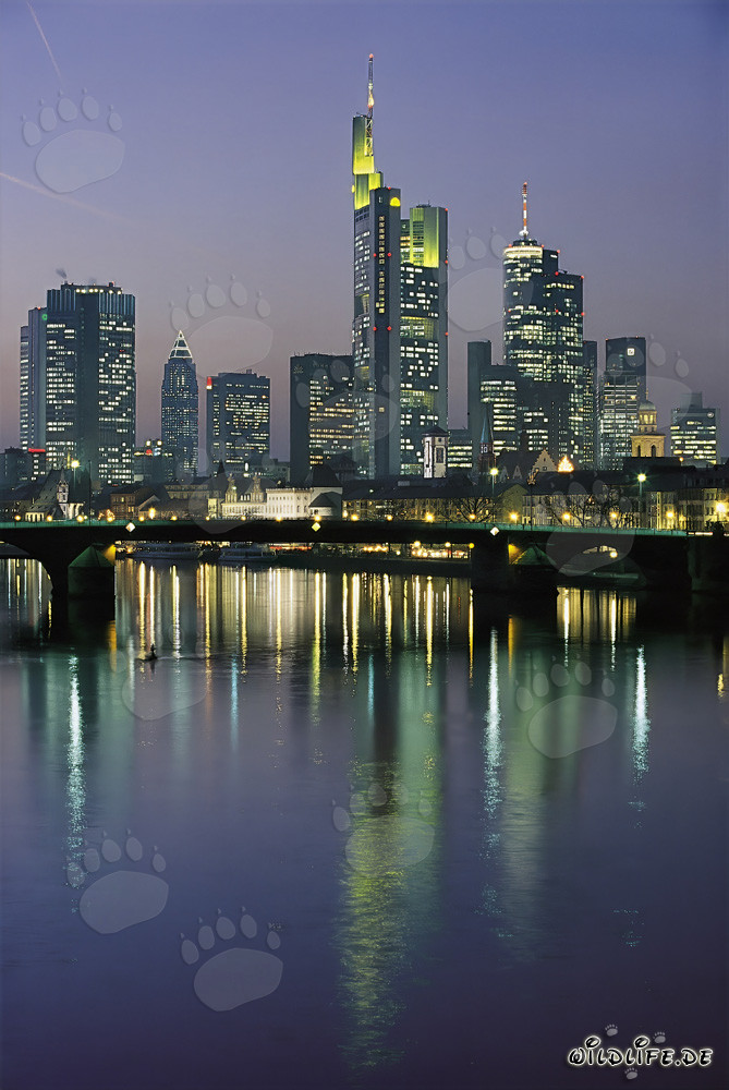 Frankfurt Skyline bei Nacht mit imposanten Wolkenkratzern