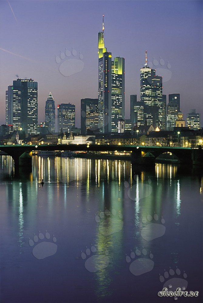 Frankfurt skyline at night with impressive skyscrapers