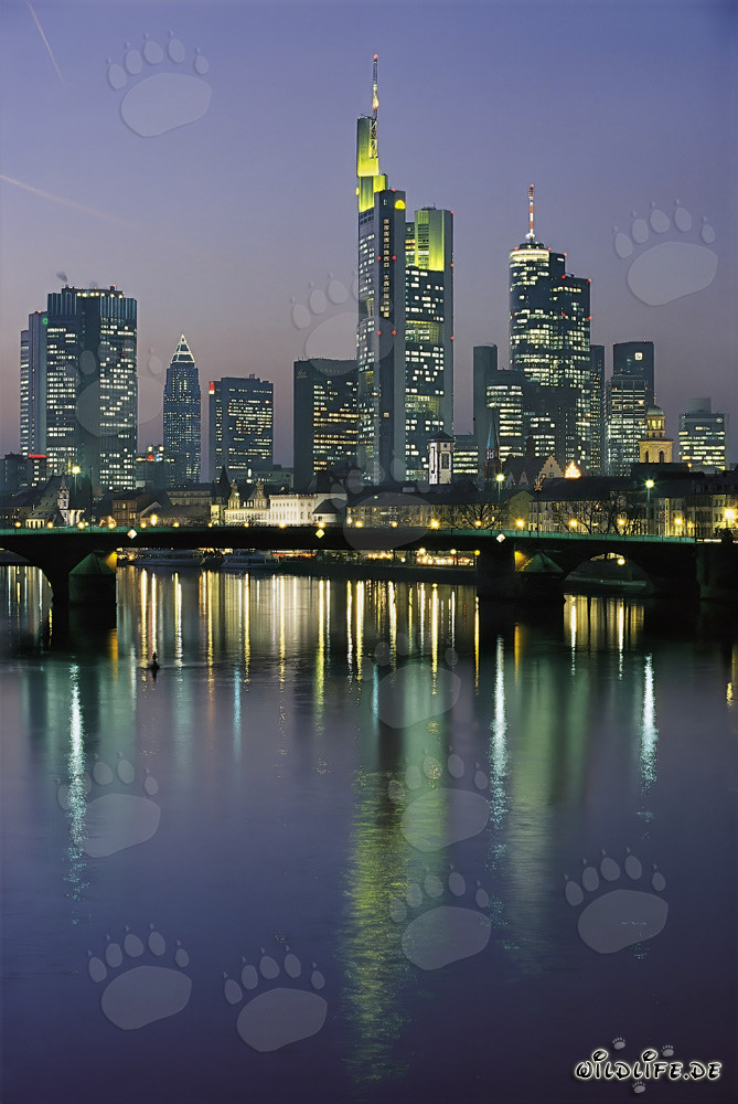 Skyline de Frankfurt de noche con rascacielos imponentes