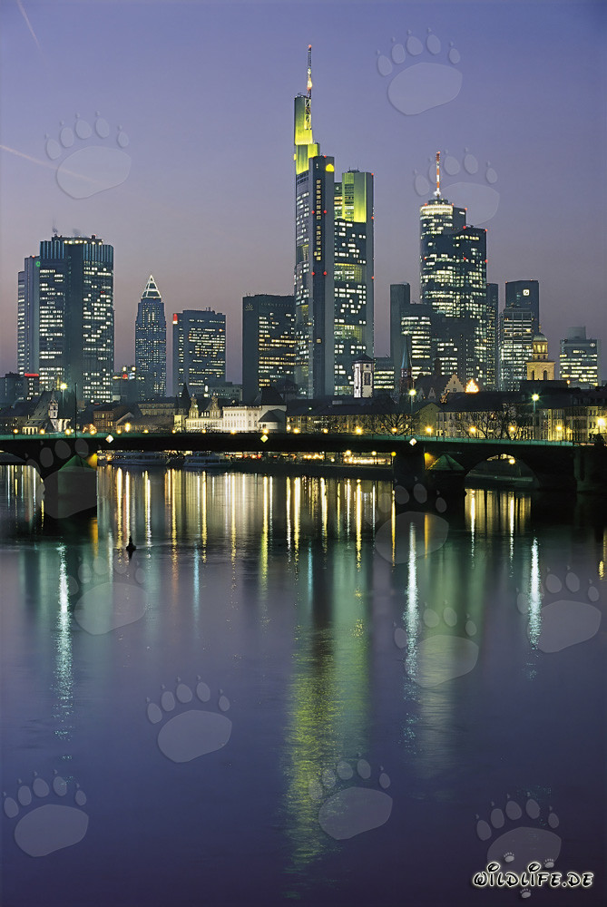 Impressionnante skyline de Francfort de nuit
