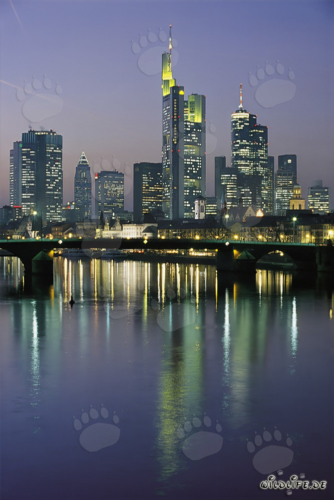 Imponente skyline di Francoforte di notte