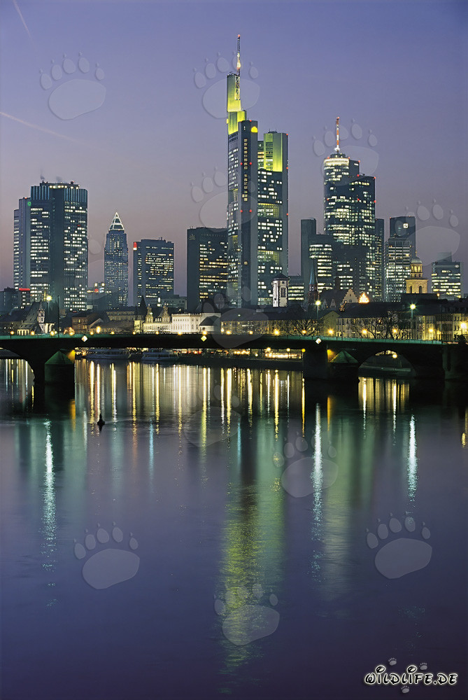 Imposante Frankfurter Skyline bei Nacht