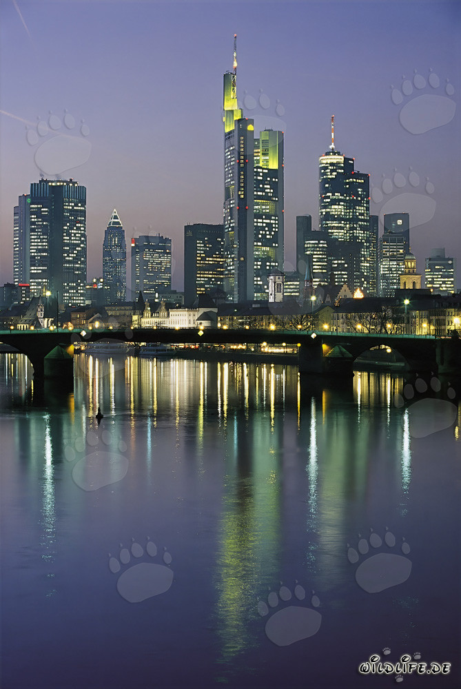 Impresionante skyline de Fráncfort de noche