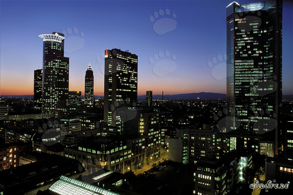 Skyline fascinante de Francfort de nuit