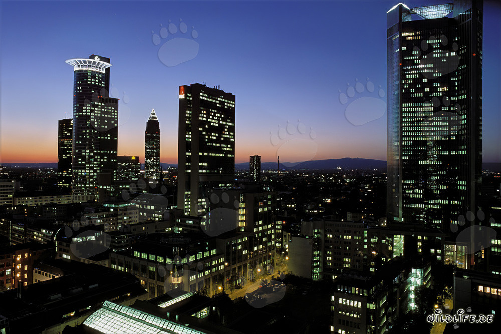 Fascinante skyline de Frankfurt de noche