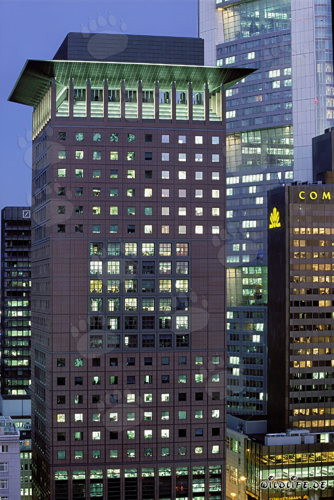Fascinating Japan-Center in Frankfurt am Main