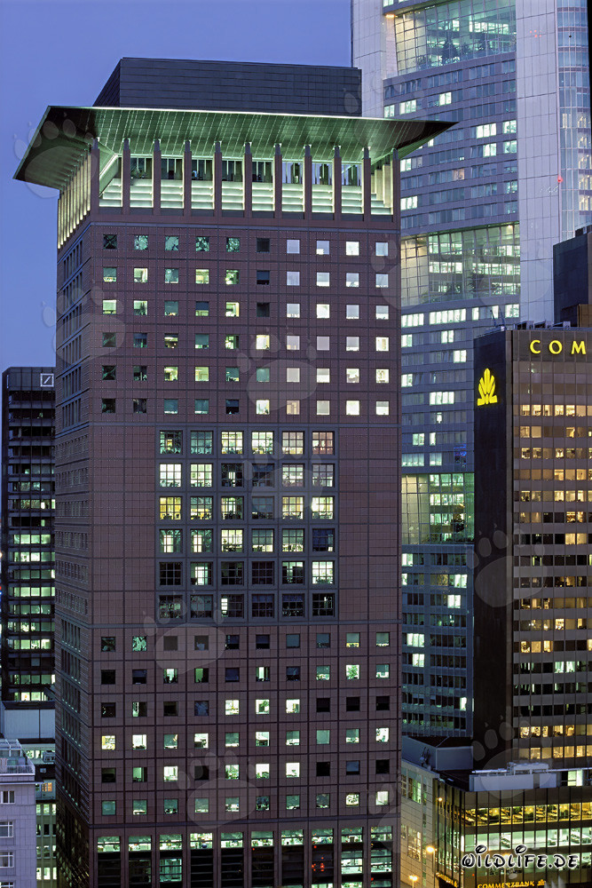 Faszinierendes Japan-Center in Frankfurt am Main