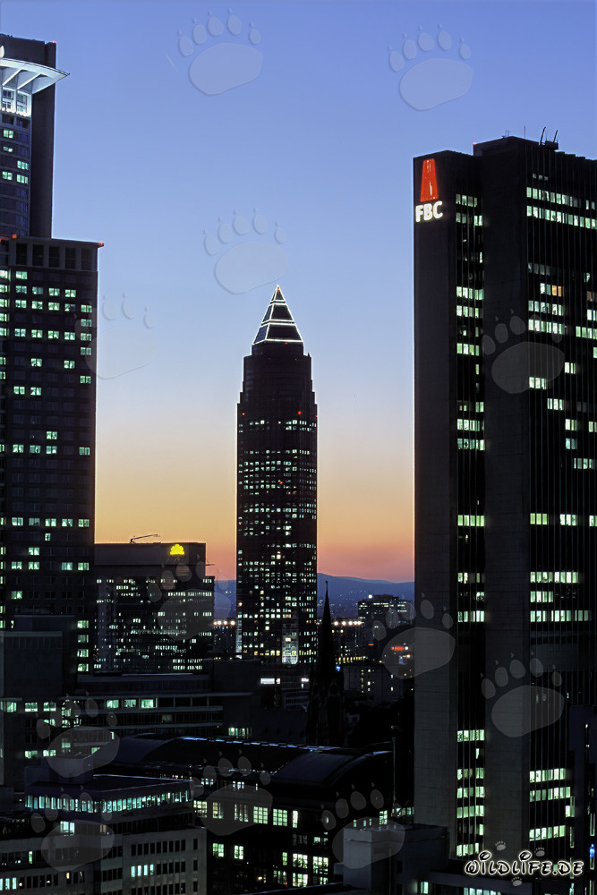 Gratte-ciel fascinants de Francfort de nuit