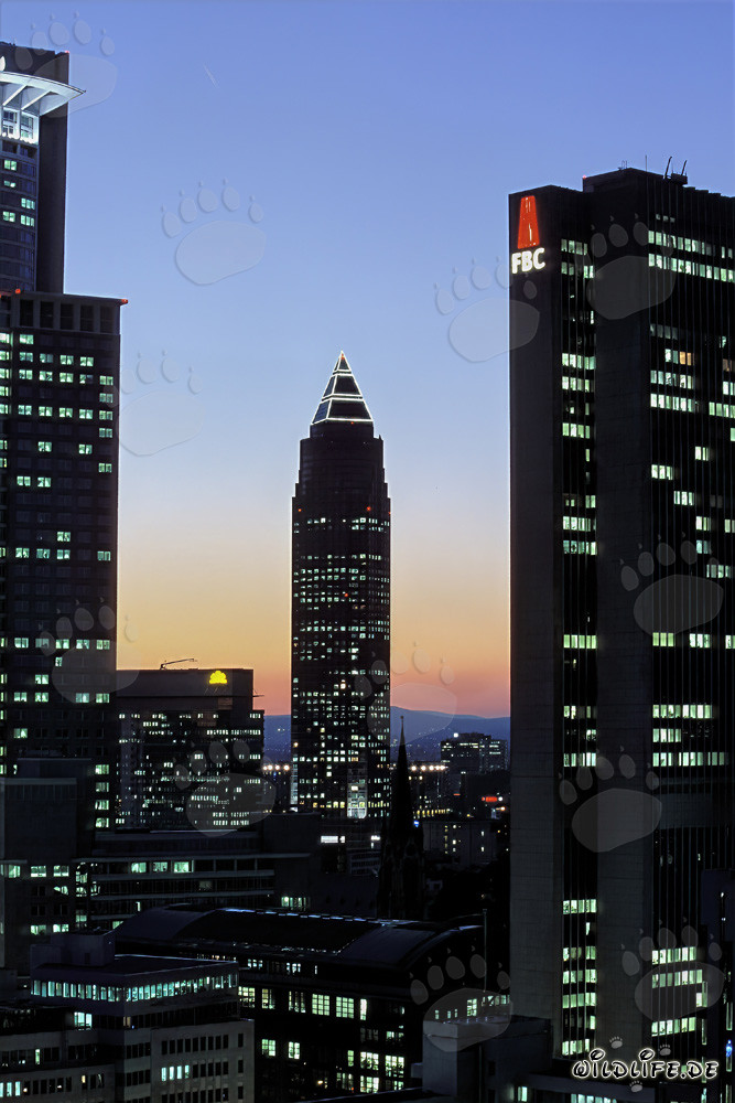 Faszinierende Wolkenkratzer von Frankfurt bei Nacht