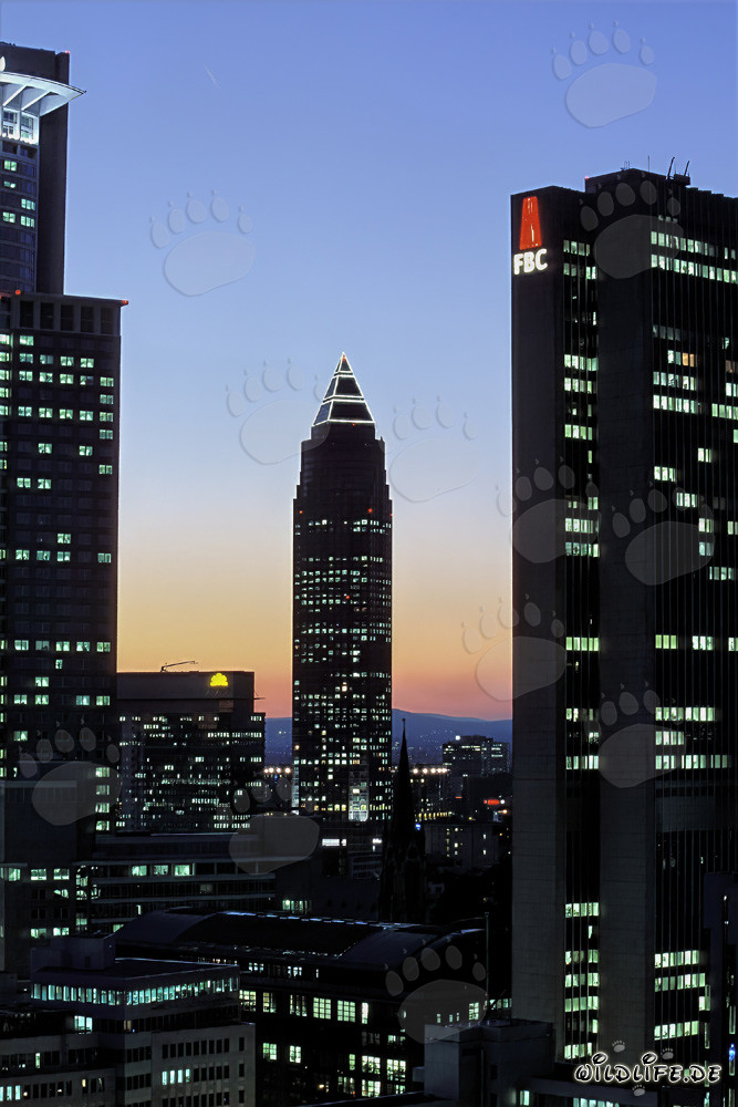 Fascinantes rascacielos de Frankfurt de noche
