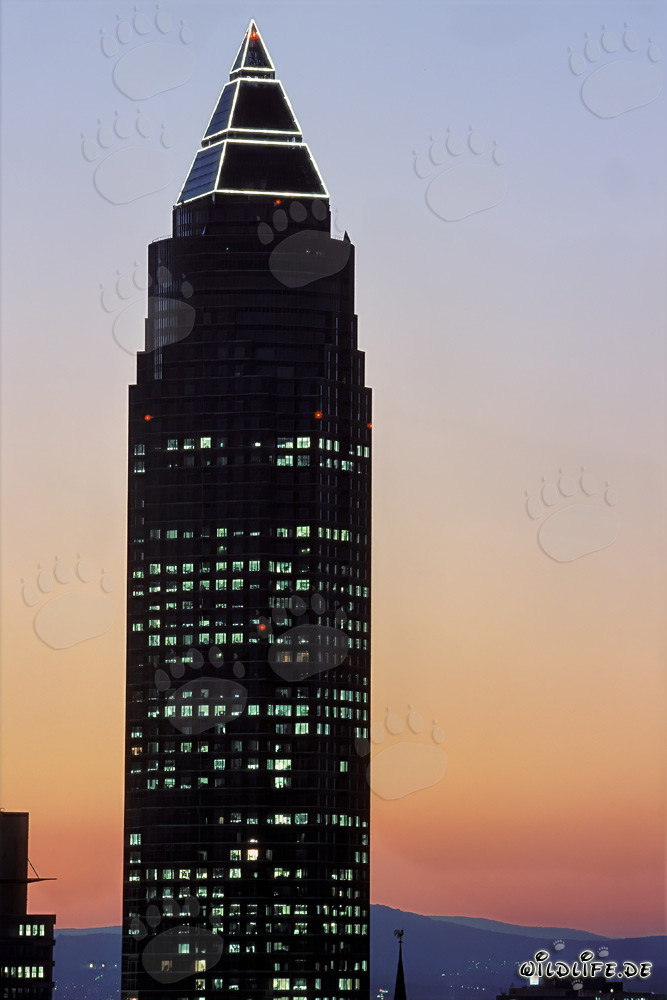 Impresionante Torre de Feria de Frankfurt bajo la cálida luz de la tarde