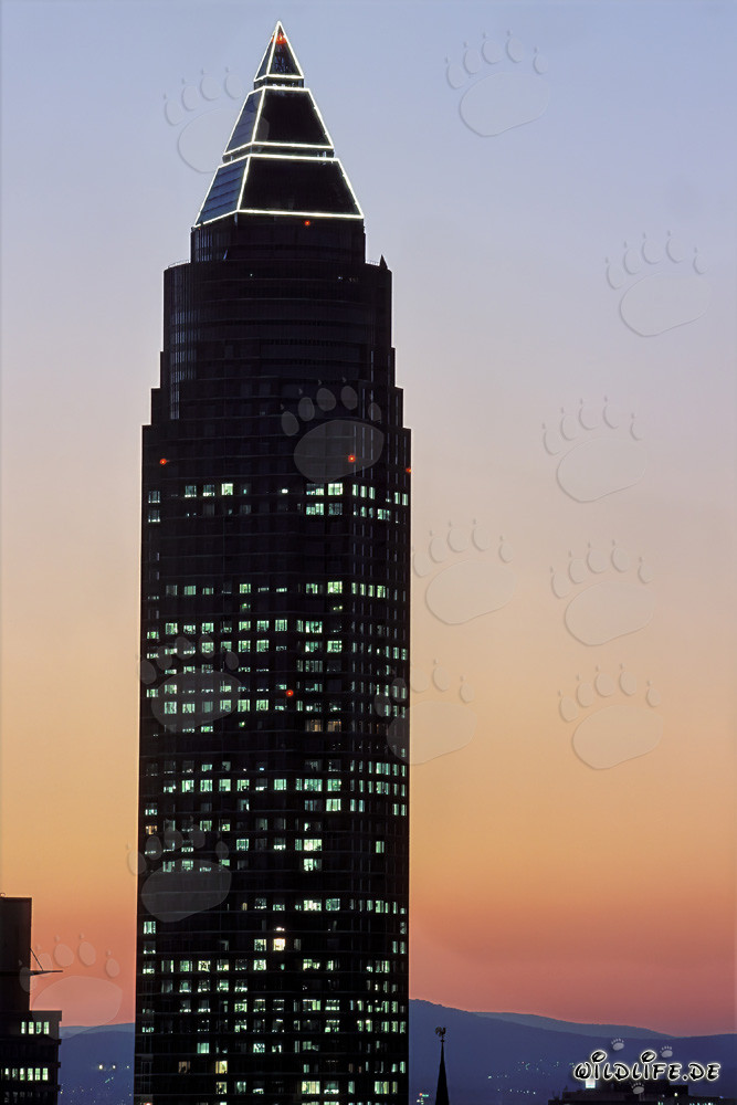 Impressive Trade Fair Tower of Frankfurt in the warm evening light