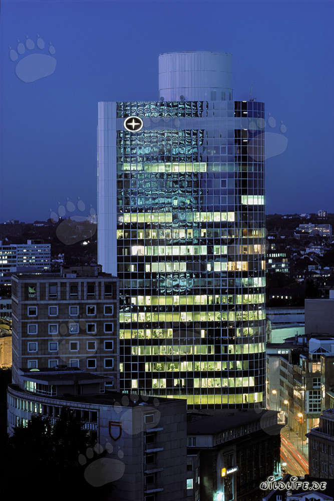 Photo nocturne de la City Bank Frankfurt - impressionnante skyline