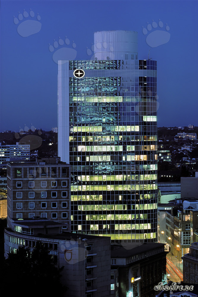 Foto notturna della City Bank Frankfurt - skyline impressionante