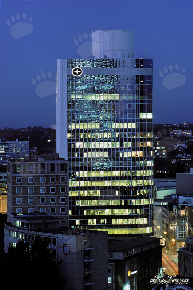 Foto nocturna de la City Bank Frankfurt - impresionante skyline
