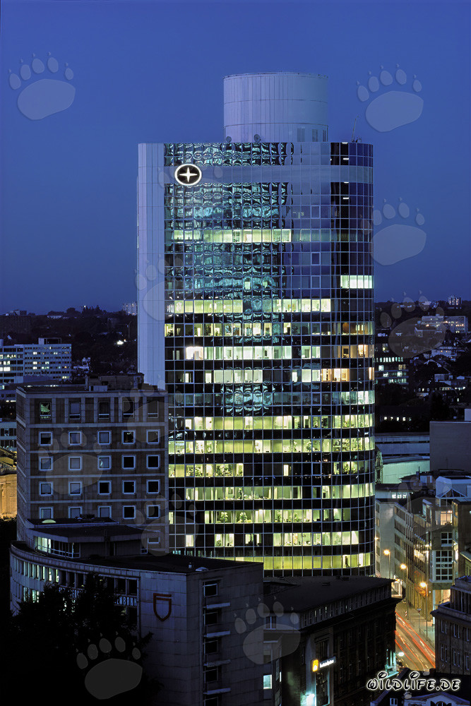 Nachtaufnahme der City Bank Frankfurt - beeindruckende Skyline
