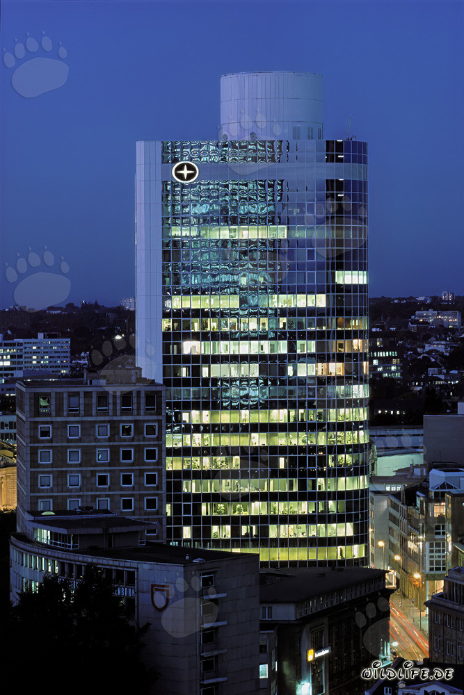 Night shot of City Bank Frankfurt - impressive skyline