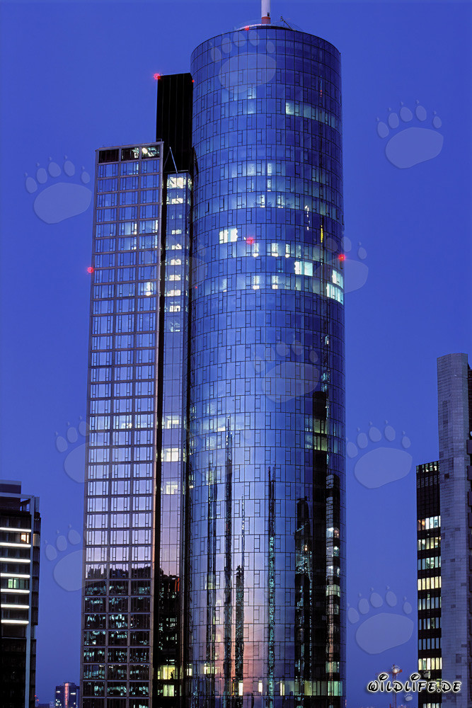 Impressionnante tour Maintower à Francfort-sur-le-Main, Hesse