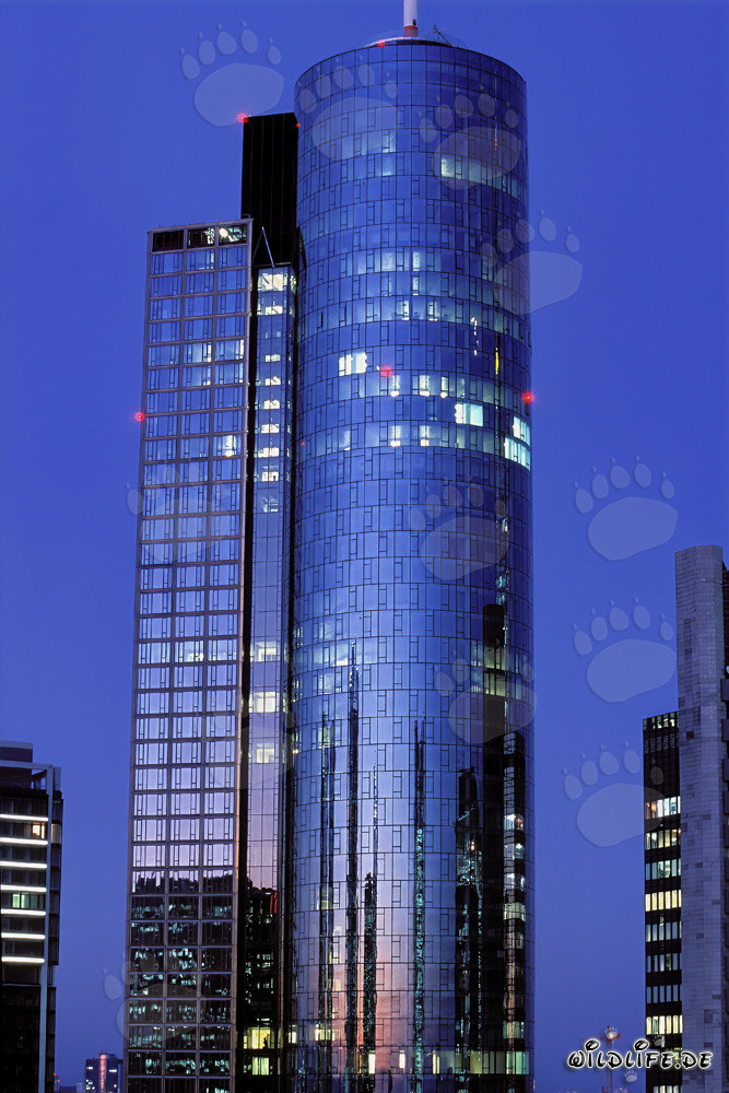 Impresionante torre Maintower en Fráncfort del Meno, Hesse