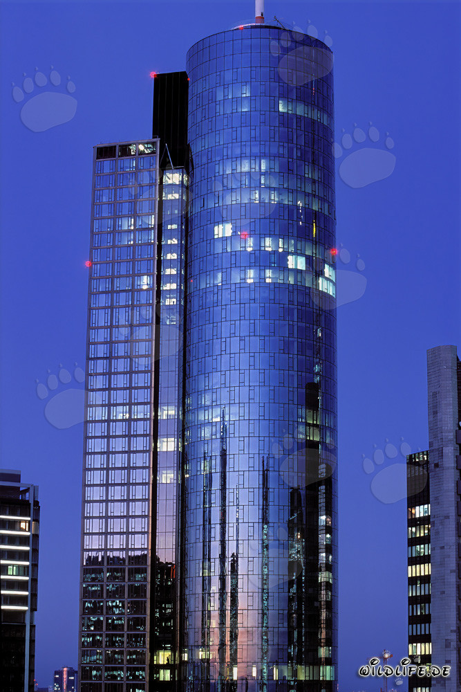 Impressive Maintower in Frankfurt am Main, Hesse