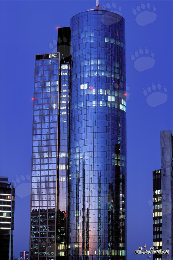 Beeindruckender Maintower in Frankfurt am Main, Hessen