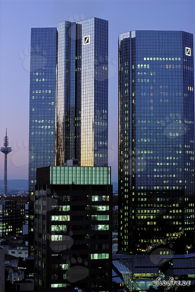 The Deutsche Bank Headquarters Frankfurt in the Last Daylight