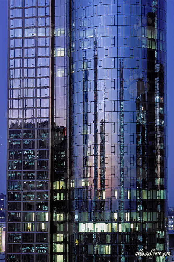 Impressive Maintower in Frankfurt am Main