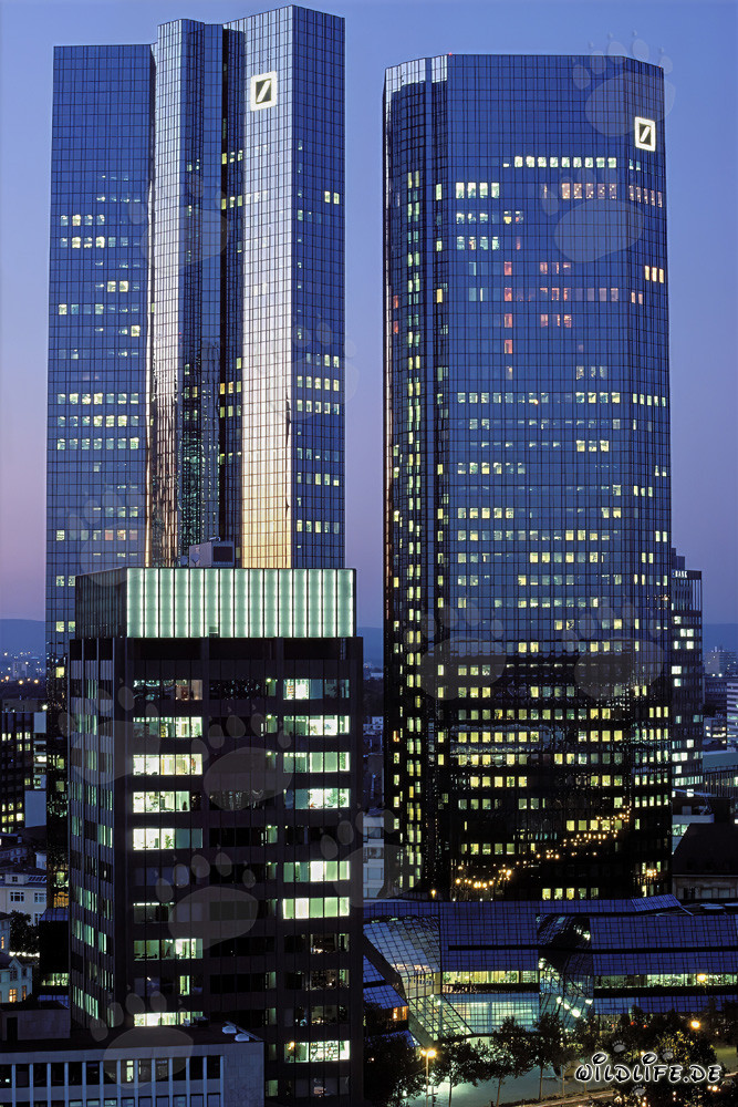 Modern Architecture: Deutsche Bank Headquarters in Frankfurt in the Evening Light