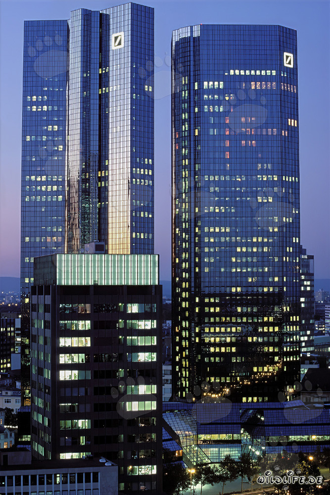 Moderne Architektur: Deutsche Bank Zentrale in Frankfurt im Abendlicht