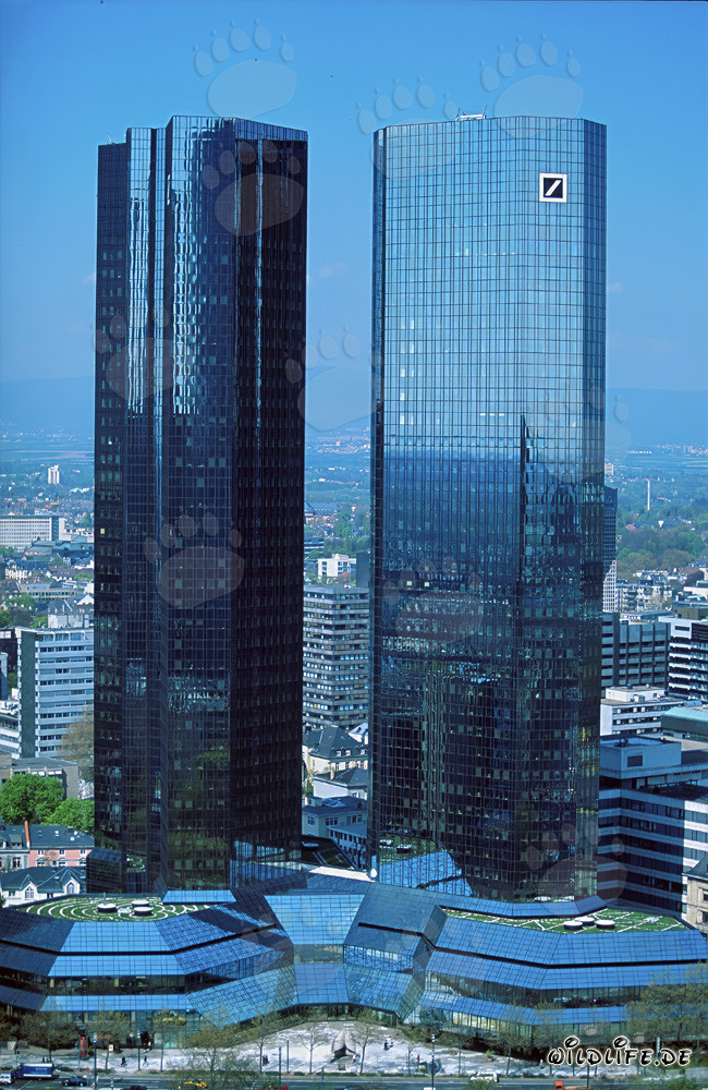 Die imposanten Zwillingstürme der Deutschen Bank in Frankfurt am Main