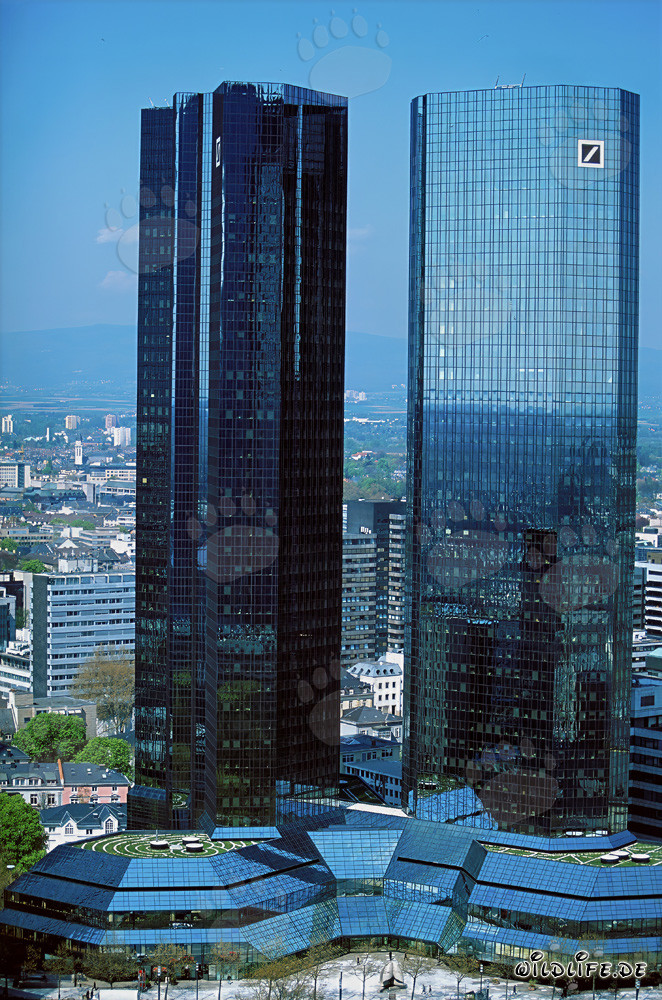 I maestosi gemelli della Deutsche Bank a Francoforte