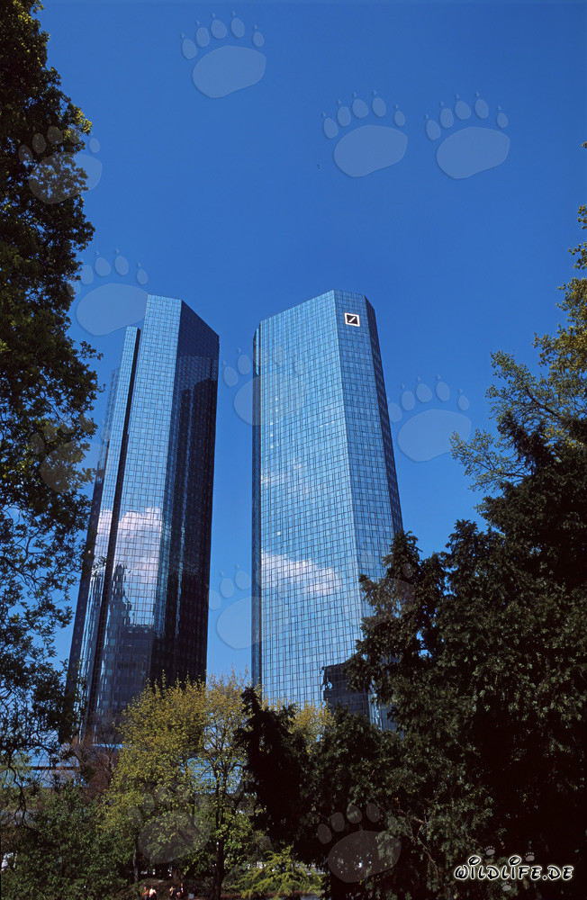 Deutsche Bank Zentrale Frankfurt