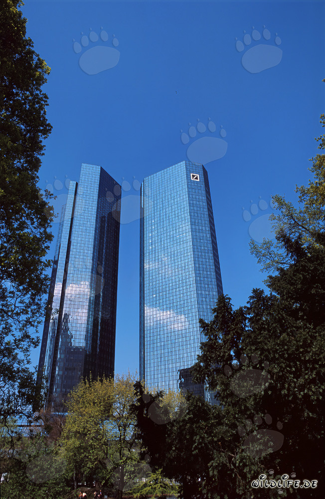 Deutsche Bank Headquarters Frankfurt