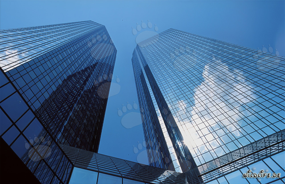 Imponenti torri gemelle della Deutsche Bank a Francoforte sul Meno