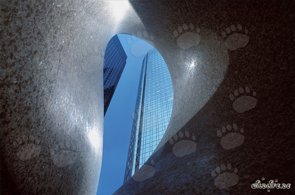 The twin towers of Deutsche Bank in an unusual perspective